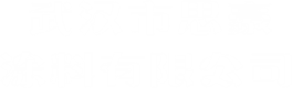 武汉市思豪涂料有限公司